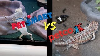 PETSMART vs PETCO  Who has better REPTILE care [upl. by Suzi696]