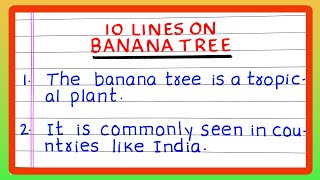 WRITE ABOUT BANANA TREE  Few Lines on BANANA TREE  5  10 Lines about BANANA TREE  PLANT [upl. by Seaden]