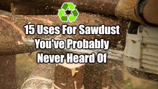 15 Ways To Reuse Sawdust [upl. by Brunella]