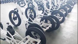 2024 Top 3 Best Electric Tricycle 48v 1000w 24AH（Samsung 3 Wheel EBike Trike Ready to ship [upl. by Hannan]