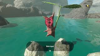 Korok seeds  Horon Lagoon  Lanayru Tower 53  Zelda BOTW [upl. by Ladd]