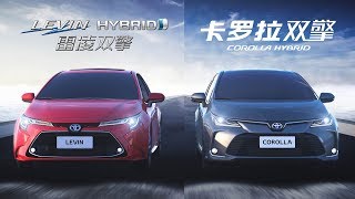 The New Toyota Corolla and Levin China [upl. by Aniez441]