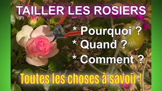 Tailler les rosiers  pourquoi quand et comment  Toutes les bases à connaître [upl. by Tomkin7]