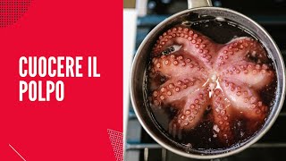 Buono anche surgelato  CUOCERE IL POLPO  cook the octopus [upl. by Hastie990]