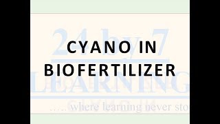 Cyanobacteria in biofertilizer  Microbes in human welfare  Grade 12  Biology  24by7learning [upl. by Yekcin]