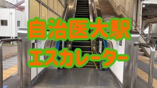 自治医大駅 エスカレーター【宇都宮線】【湘南新宿ライン】 [upl. by Saxe]