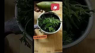 कच्ची कैरी की चटनी।keri ki chatni।raw mango chatni। कैरी पोदीने की चटनी। [upl. by Yarehs]