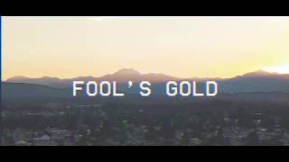 Alec Shaw  Fools Gold  Lyric Video [upl. by Cowles]