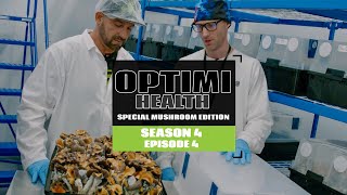 S4 EP4 Visit One Of The Largest Mushroom Grows In The World Optimi Health ft Max Yield Bins [upl. by Orgel]