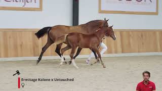 Everest X Z Ermitage Kalone x Untouched [upl. by Suivat]