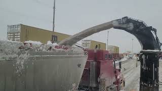 Chargement de neige du 19 janvier 22 à Montréal avec souffleur Larue D60 2022 [upl. by Glialentn964]