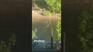 Am Fly fishing on the Animas River Colorado [upl. by Kaine]