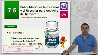 75 SUBPOBLACIONES LINFOCITARIAS Y EL RECEPTOR PARA ANTÍGENO DEL LINFOCITO T [upl. by Lobell991]