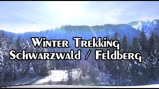 Winter Biwak im Schwarzwald Black Forest  Feldberg I Trekking I Outdoor BadenWürttemberg [upl. by Angle780]