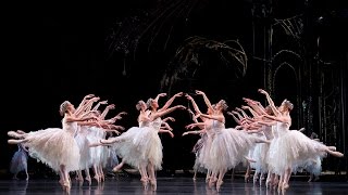 Swan Lake Corps de Ballet The Royal Ballet [upl. by Stuckey]