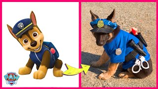 PAW Patrol And Their Biggest Fans PAW Patrol In Real Life And Their Other Favorites  Roxi and Skye [upl. by Claudette]