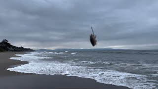 Manresa State Beach Surf Fishing with Sand Crabs  Beautiful day But… [upl. by Anenahs]