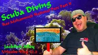 SCUBA DIVING EGYPT  Jackfish Alley  Ras Mohammed Part 23 2017 [upl. by Benildis]