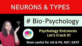 Neurons and Types BioPsychology Psychology Entrances Mind Review [upl. by Ike434]