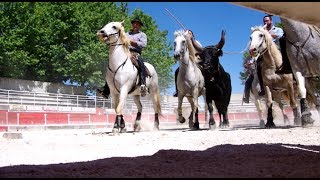 Journée Barbentane 09062017 [upl. by Morgan993]