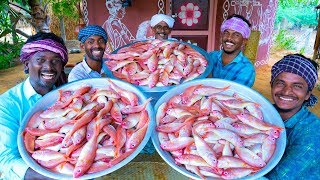 FISH FRY  40KG Red Snapper Fish Recipe  Fish Gravy Cooking in Village  Traditional Cooking [upl. by Yeldua282]