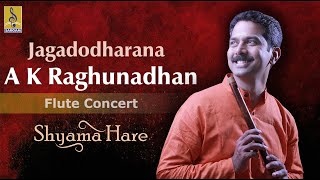 Jagadodharana  a flute concert by AKRaghunadhan  Shyama Hare [upl. by Otiv243]