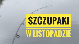 Jak złowić szczupaka w listopadzie [upl. by Zetes]