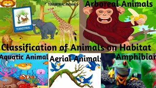 Classification of Animals based on HabitatTerrestrial Aquatic AmphibiansArborealAerialAnimals [upl. by Luapsemaj]