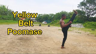 LEARN your yellow belt poomase [upl. by Edee808]