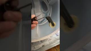 Fixing A Whirlpool Dryer That Wont Spin [upl. by Barrett]