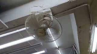 Jinling amp Mitsubishi amp Panasonic amp KDK orbit ceiling fan amp gree air conditioner by shop [upl. by Aitnyc]