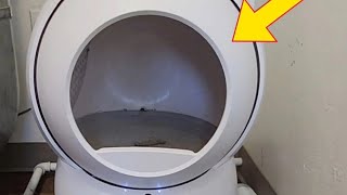 Are you tired of cleaning your litter box ad petsafe litterbox selfcleaning magic lifehacks [upl. by Oidale]