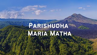 Parishudha Maria Matha  Maria Matha Geetham  Holy Mass Songs  Telugu [upl. by Airdnas4]