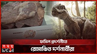 হংকংয়ে প্রথমবার মিলল ডাইনোসরের জীবাশ্ম  Dinosaur Fossils  Hong Kong  International News [upl. by Lenehc]