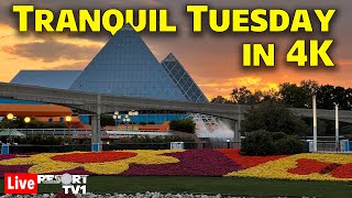 🔴4K Live Tranquil Tuesday at Epcot in 4K  Walt Disney World Live Stream  51424 [upl. by Sitruk794]