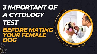 What You NEED to Know About Vaginal Cytology Tests in Female Dogs [upl. by Lezley]