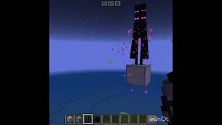 100 enderman vs endermite [upl. by Mcdade]