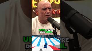 Should we be allowed to have chimps as pets😂🐵 Follow for more🎙️podcast viralvideo joerogan [upl. by Zetnahs]