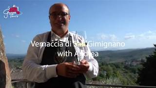 Grape INSIDERS Vernaccia di San Gimignano [upl. by Boys76]