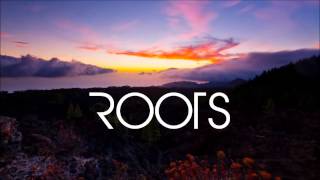 Imagine Dragons  Roots Lyrics [upl. by Naldo]