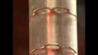 LiquidLiquid Extraction Column Demonstration KARR Columns by Koch Modular [upl. by Wack]