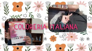 RECENSIONE COLORERIA ITALIANA COLORE NERO SU MACCHIA DI CANDEGGINA [upl. by Lucina827]