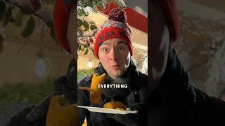 Everything I Ate at Krakow Christmas Market Poland 🇵🇱🎄shorts christmasmarket streetfood [upl. by Howlan817]