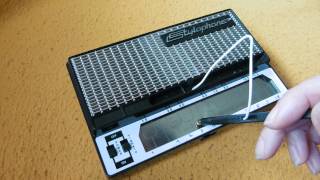 Stylophone  The House of the Rising Sun Instrumental [upl. by Jeanine]