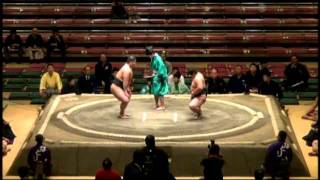 Hatsu 2012 Basho Maezumo Day 3 [upl. by Tugman392]