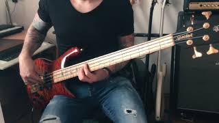 You Took The Words Right Out Of My Mouth  Meat Loaf Bass Cover [upl. by Fleming737]