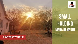 PropWiz Pretoria  Small Holding in Magaliesmoot For Sale  Property and homes for sale in Pretoria [upl. by Evod502]