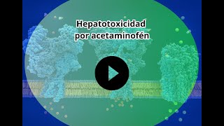 Hepatotoxicidad por acetaminofén [upl. by Hadwin869]