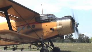 Antonov An2  engine start awesome sound [upl. by Lily]