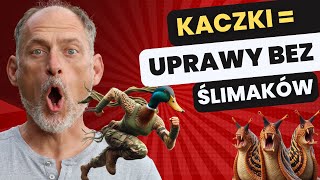 🦆 Kaczki biegusy  I NIE MA ŚLIMAKÓW 🦆🔥🔥 [upl. by Eeimaj]